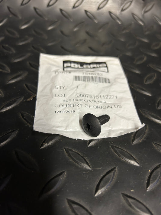 Screw, 1/4-20 x .75 Torx, Part 7518280