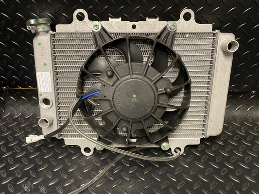 Yamaha Radiator Assembly